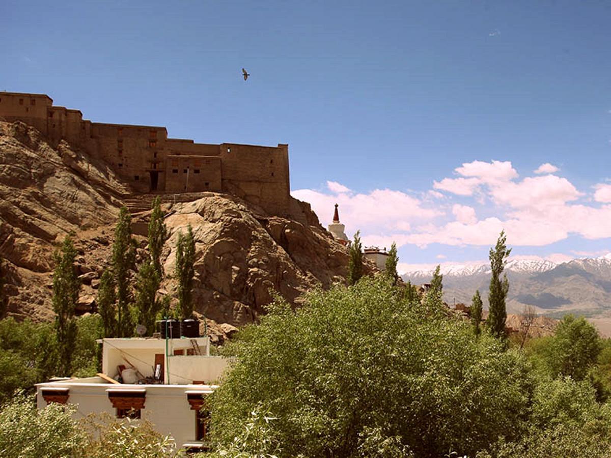 The Hotel Himalaya, Leh Exterior foto